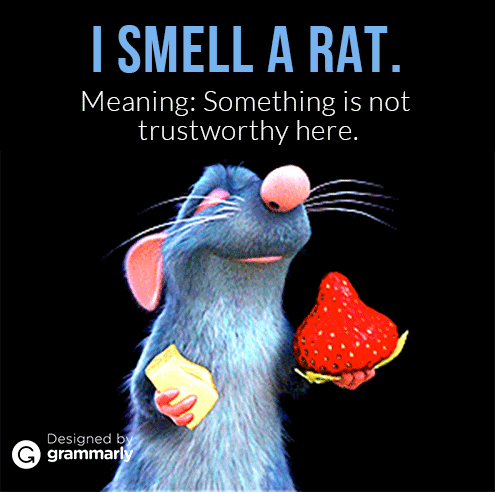 We smell a rat in chanels latest ad campaign forum buzz We smell a rat in chanels latest ad campaign forum buzz